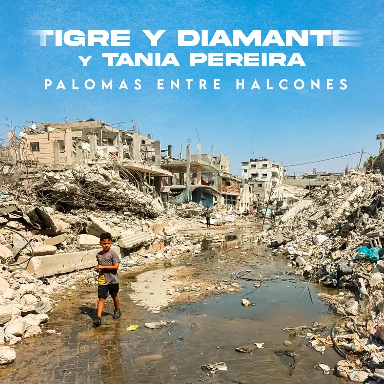 Portada del single de Tigre y Diamante Palomas entre halcones